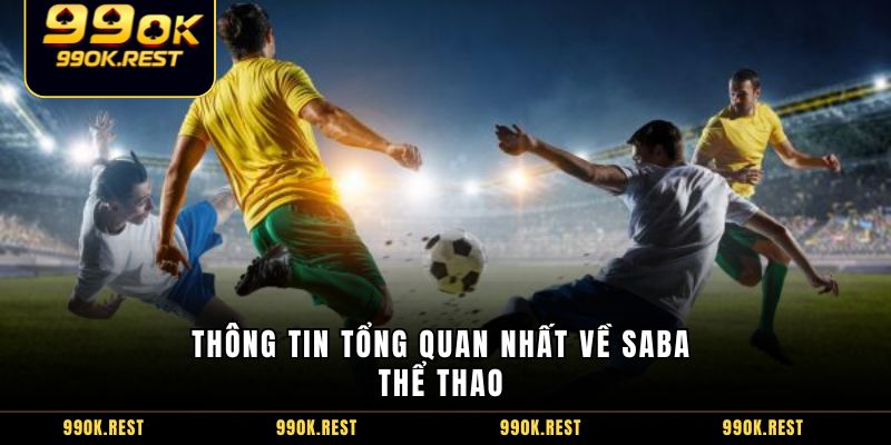 Thông tin tổng quan nhất về Saba thể thao